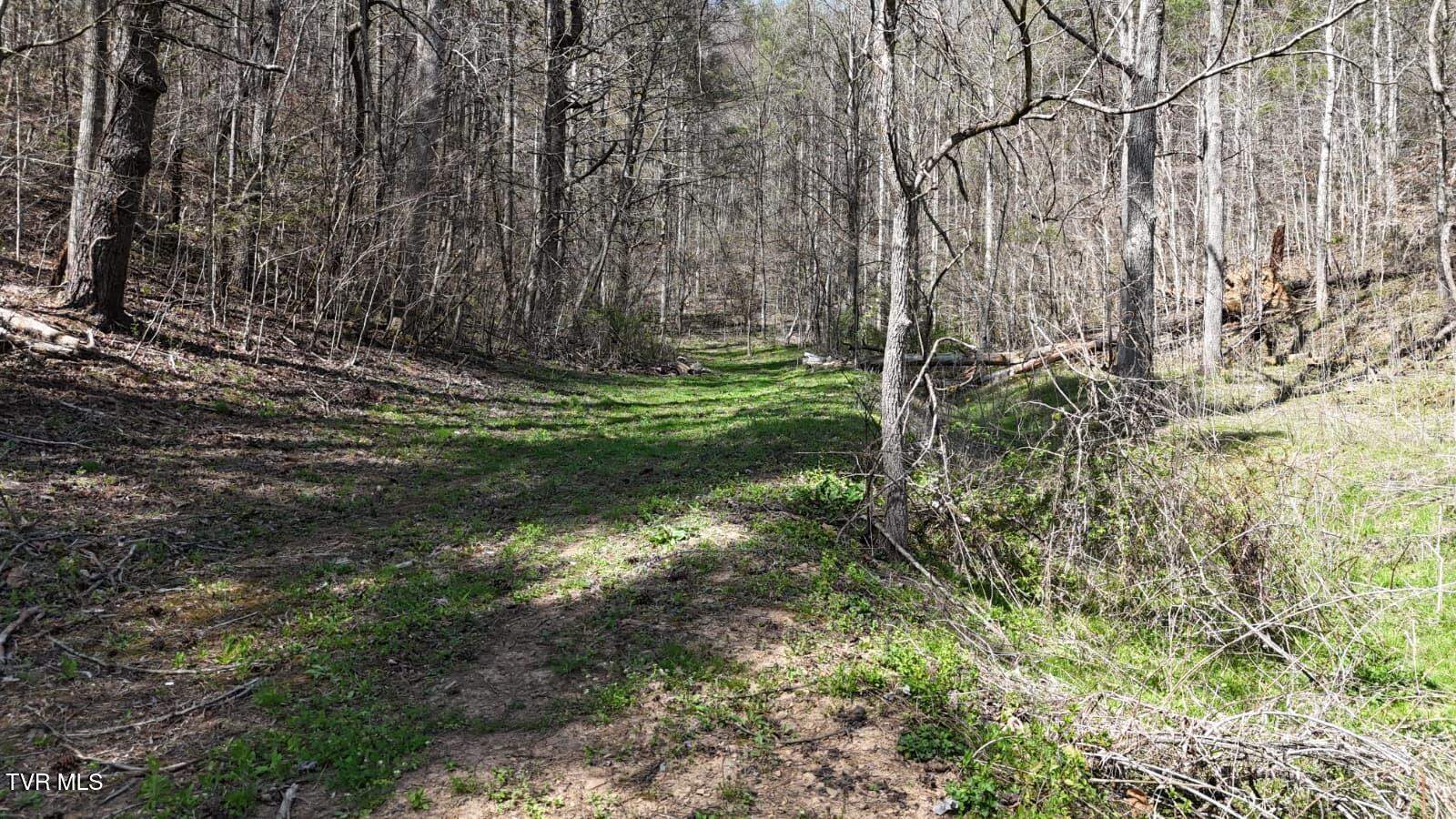 1770 Old 15th Road, Del Rio, TN 37727