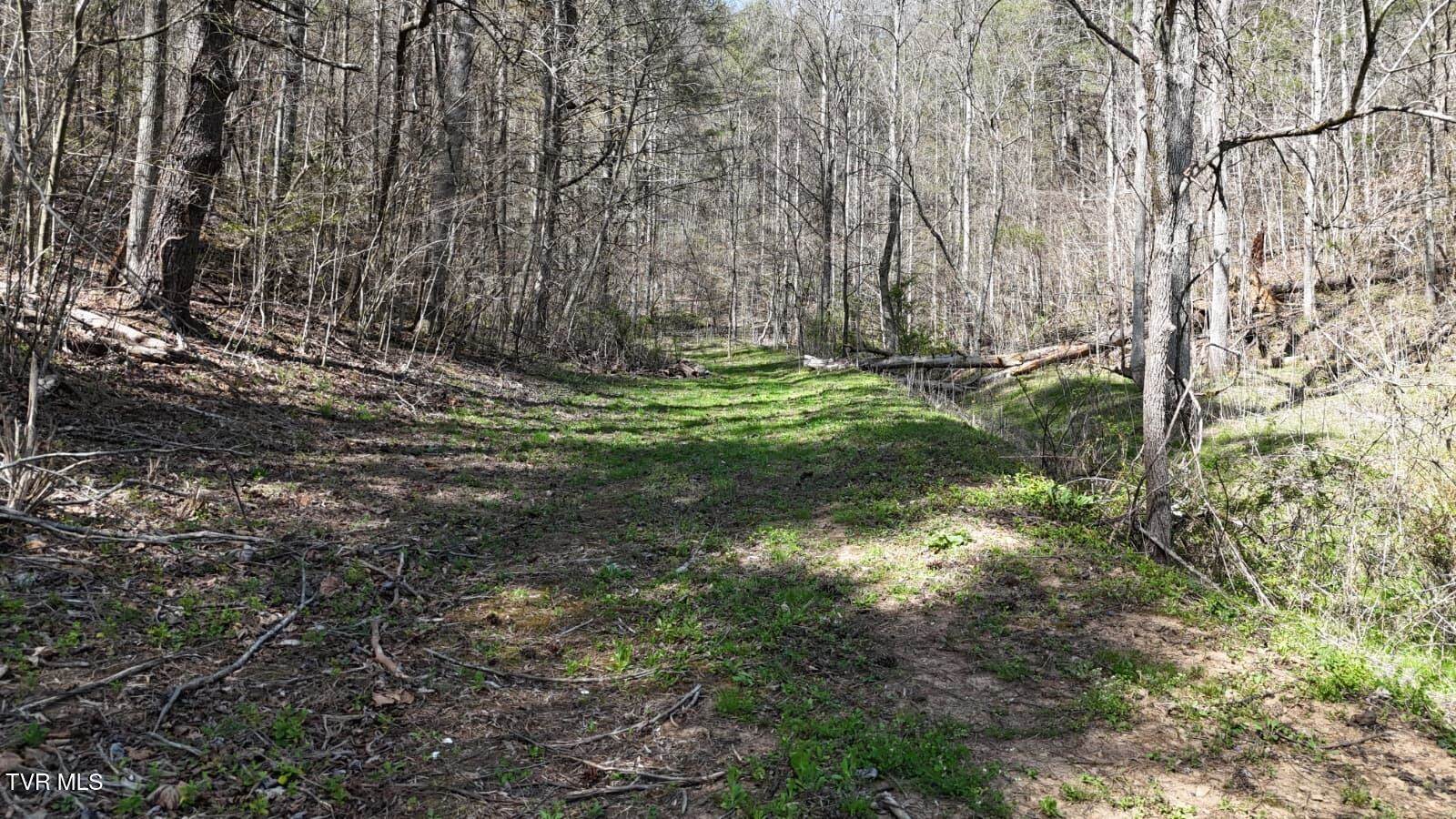 1770 Old 15th Road, Del Rio, TN 37727