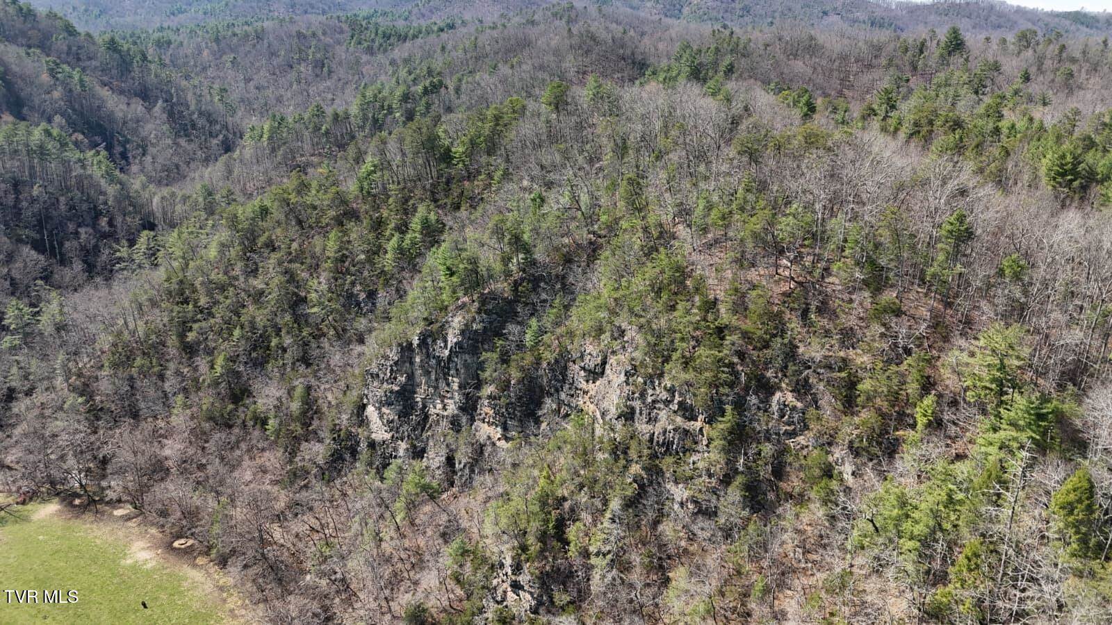 1770 Old 15th Road, Del Rio, TN 37727