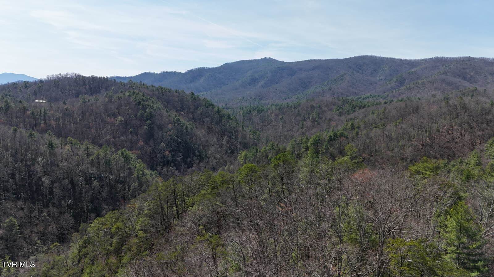 1770 Old 15th Road, Del Rio, TN 37727