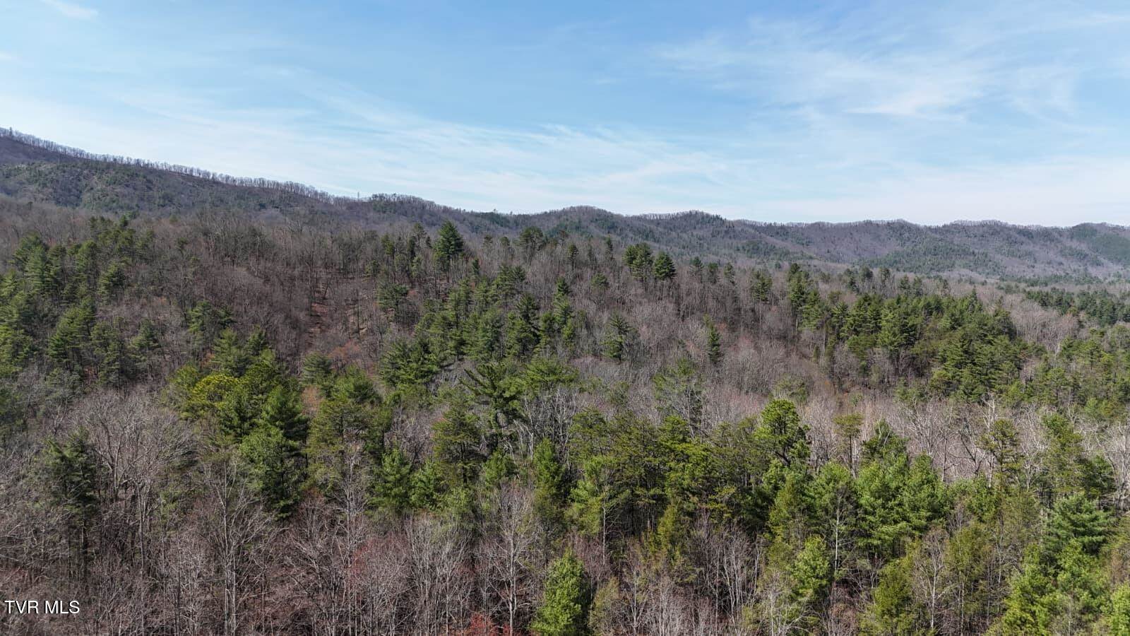 1770 Old 15th Road, Del Rio, TN 37727