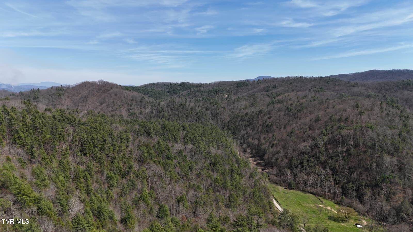 1770 Old 15th Road, Del Rio, TN 37727