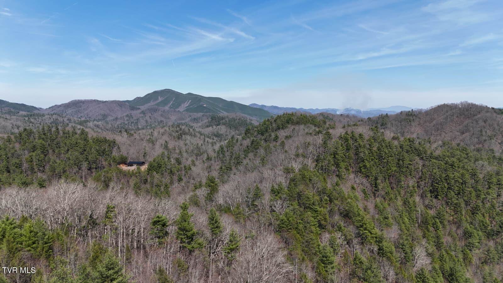 1770 Old 15th Road, Del Rio, TN 37727