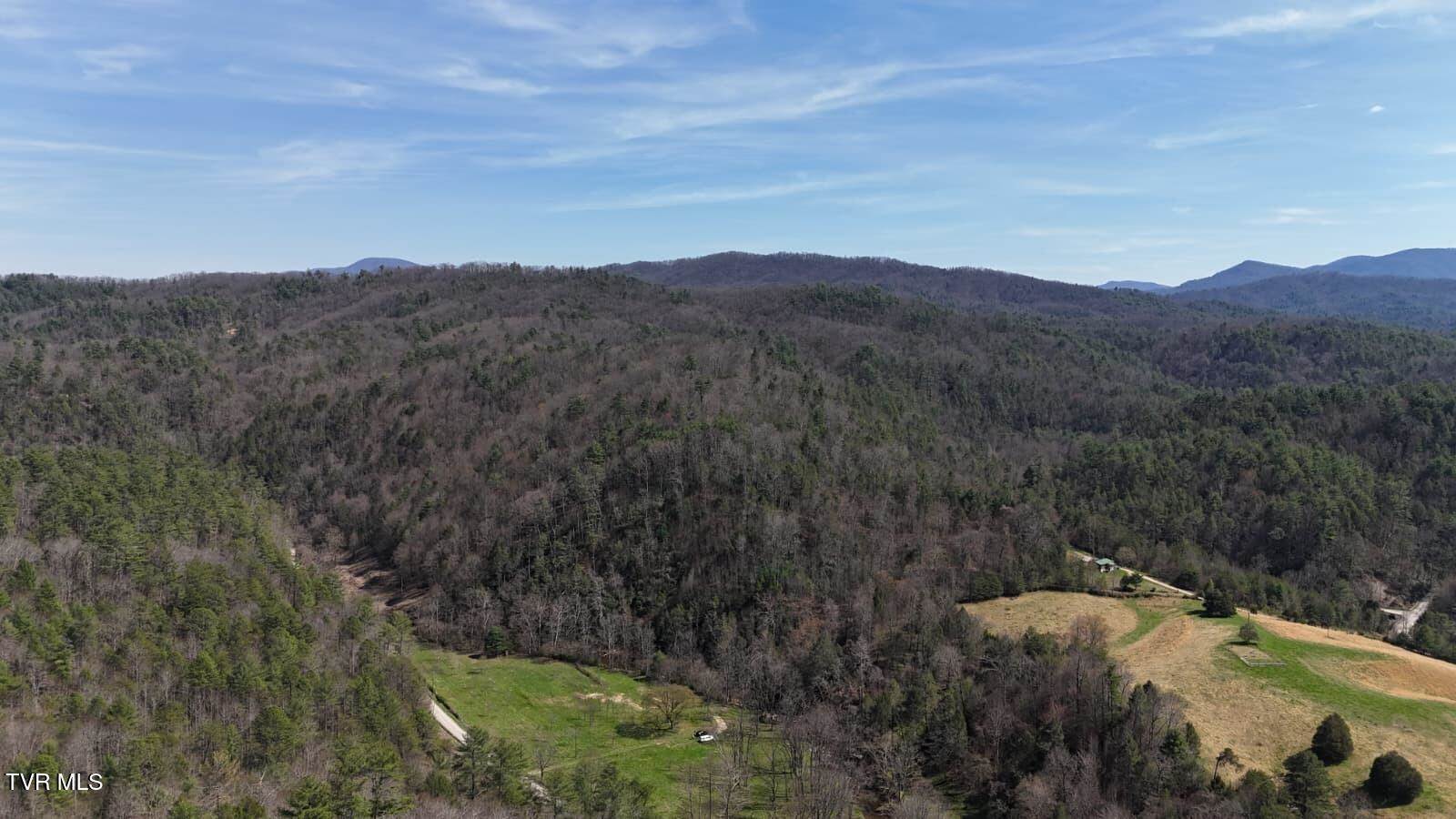 1770 Old 15th Road, Del Rio, TN 37727