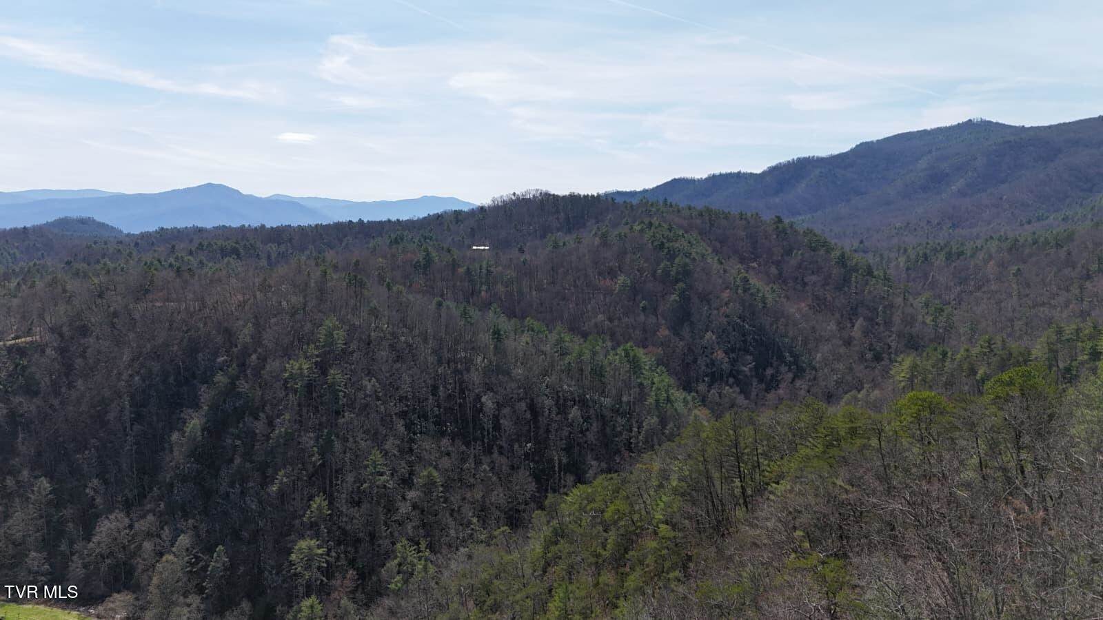 1770 Old 15th Road, Del Rio, TN 37727