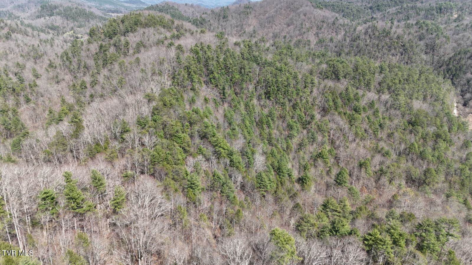 1770 Old 15th Road, Del Rio, TN 37727