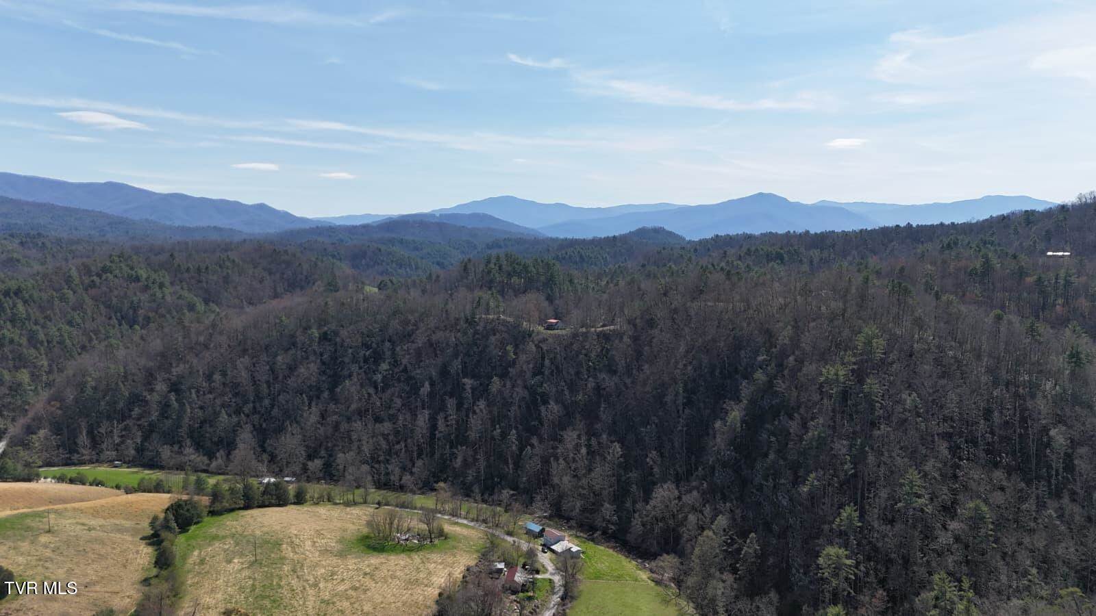 1770 Old 15th Road, Del Rio, TN 37727