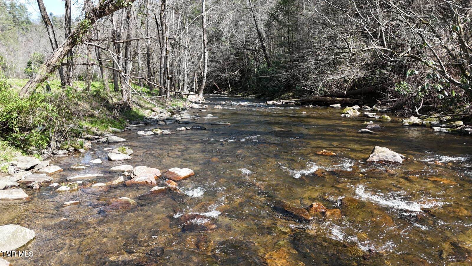 1770 Old 15th Road, Del Rio, TN 37727