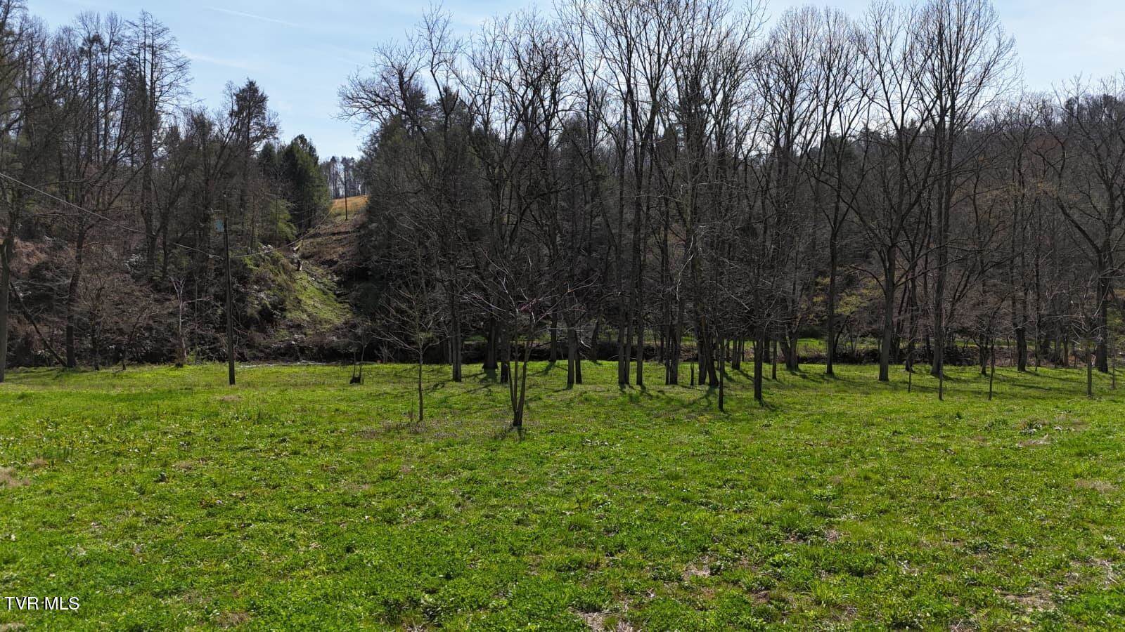 1770 Old 15th Road, Del Rio, TN 37727