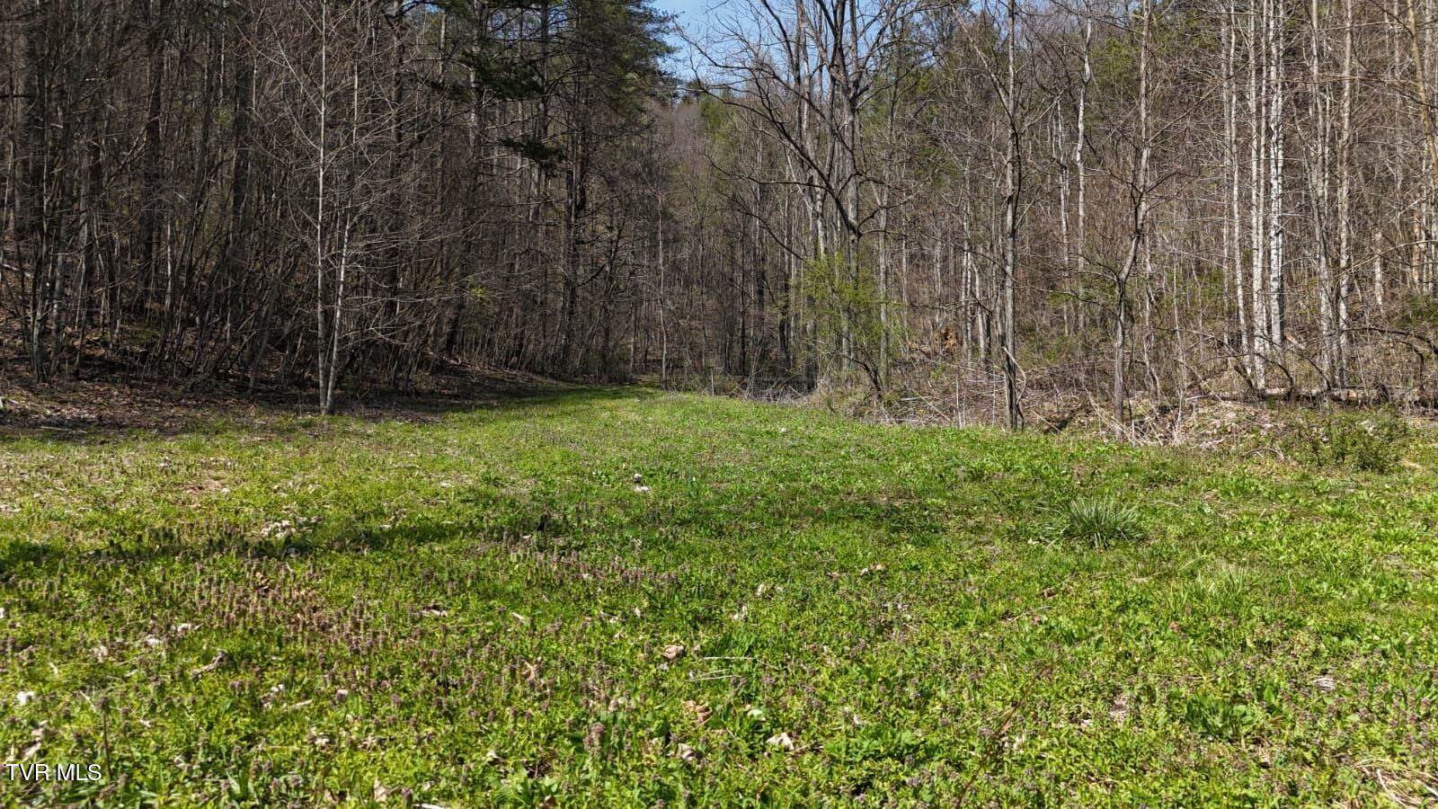 1770 Old 15th Road, Del Rio, TN 37727