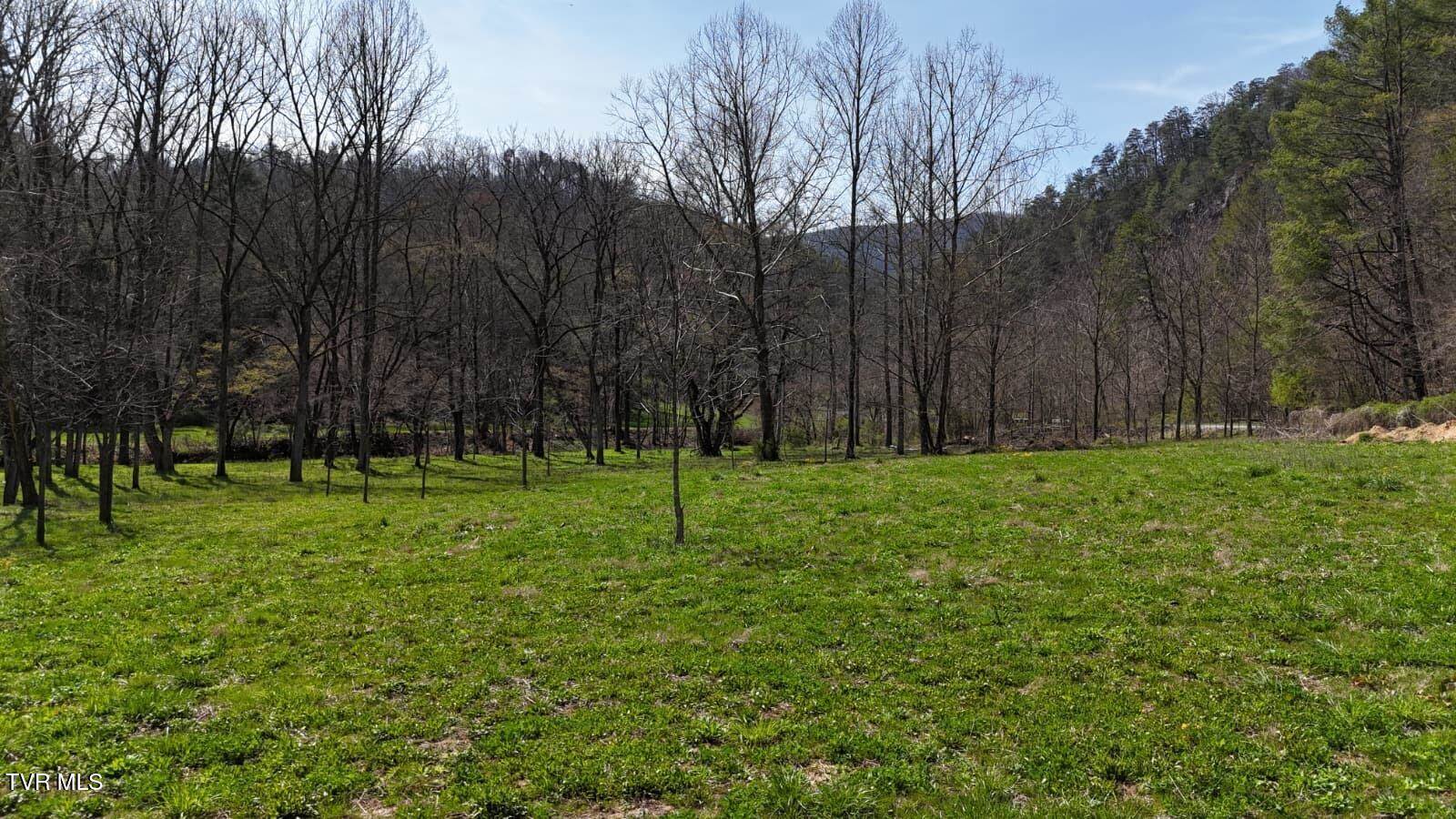 1770 Old 15th Road, Del Rio, TN 37727