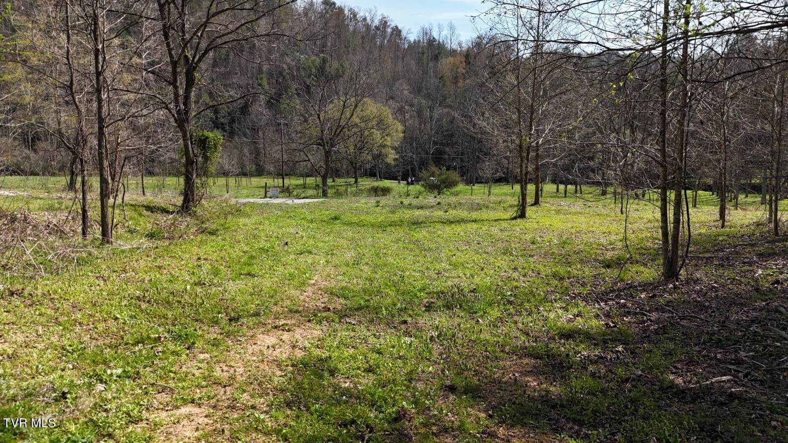 1770 Old 15th Road, Del Rio, TN 37727