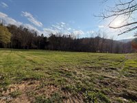 1770 Old 15th Road, Del Rio, TN 37727