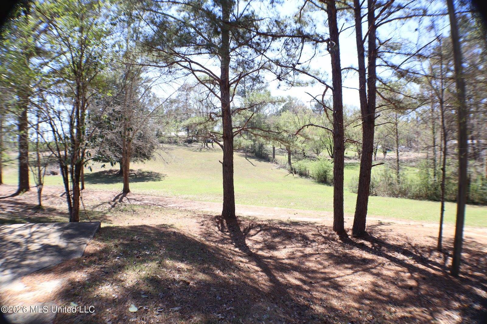 219 Bass Road, Florence, MS 39073