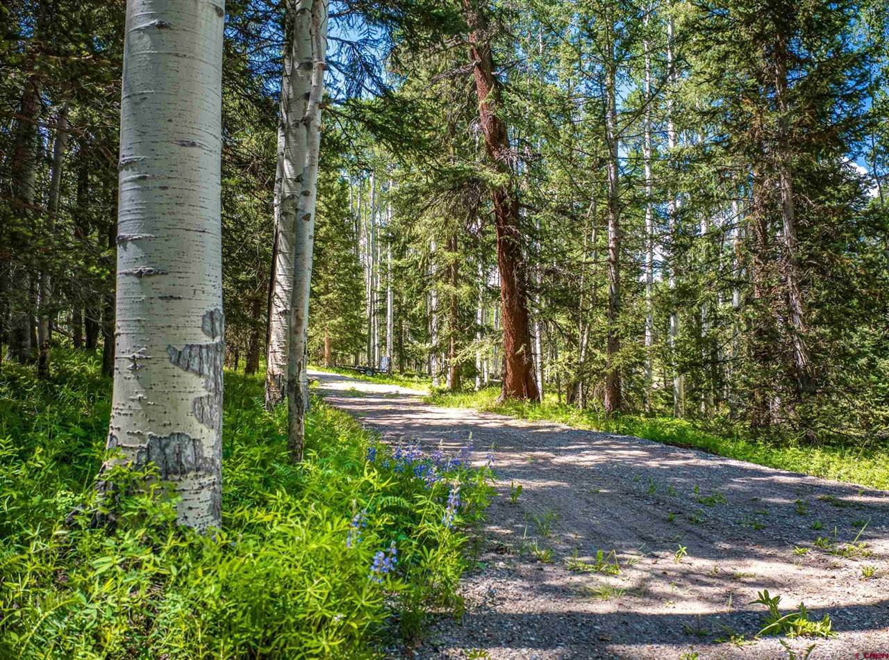 355 Ponderosa Way, Cimarron, CO 81220