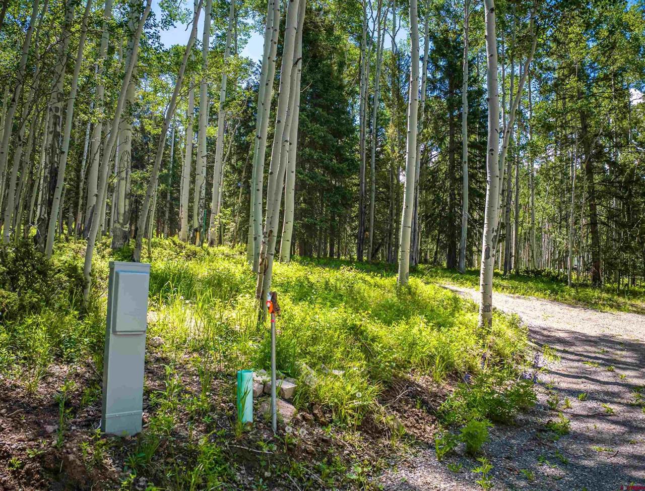 355 Ponderosa Way, Cimarron, CO 81220