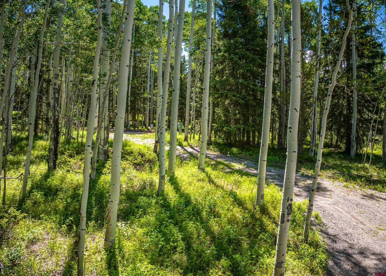 355 Ponderosa Way, Cimarron, CO 81220