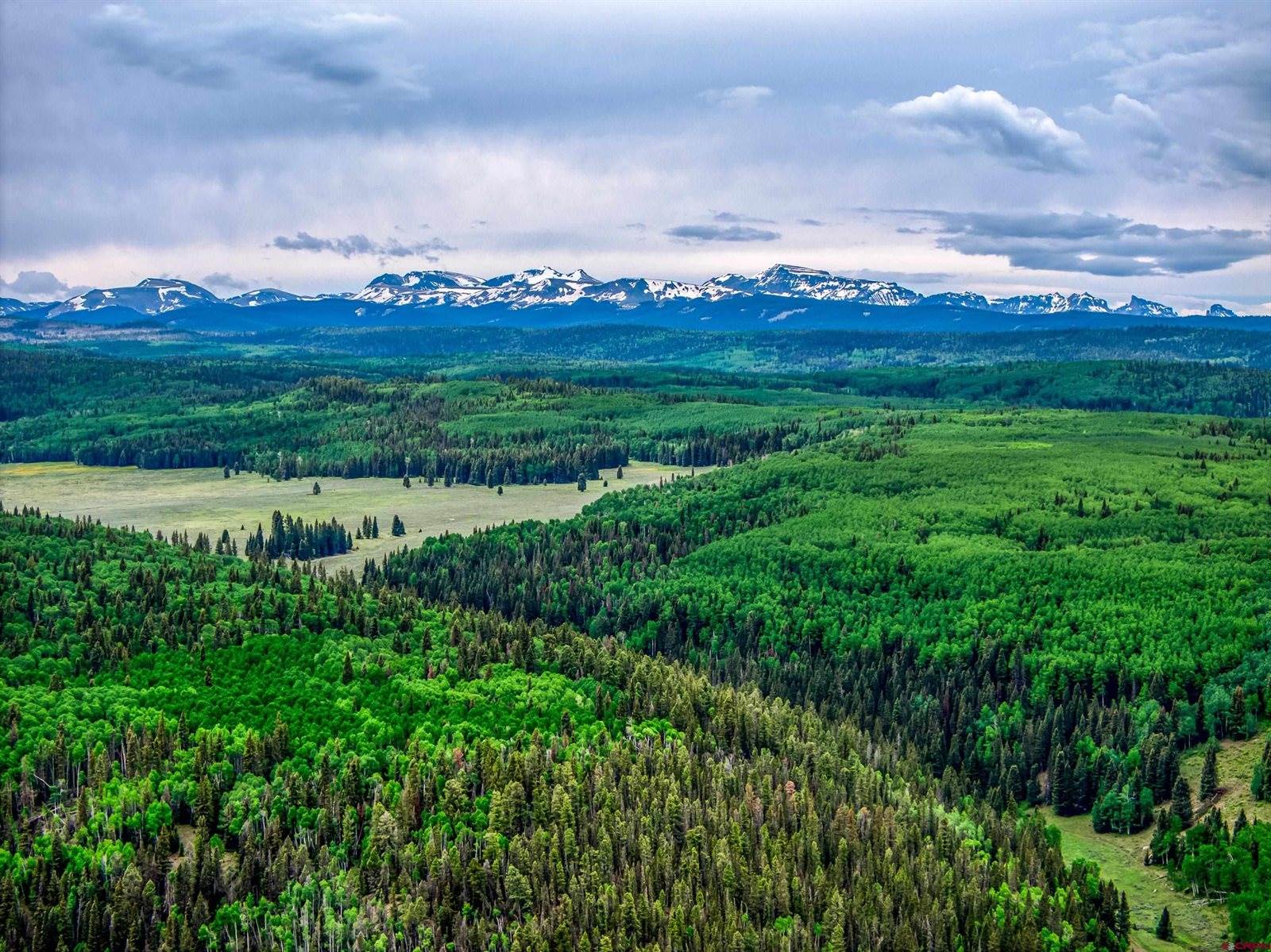 355 Ponderosa Way, Cimarron, CO 81220