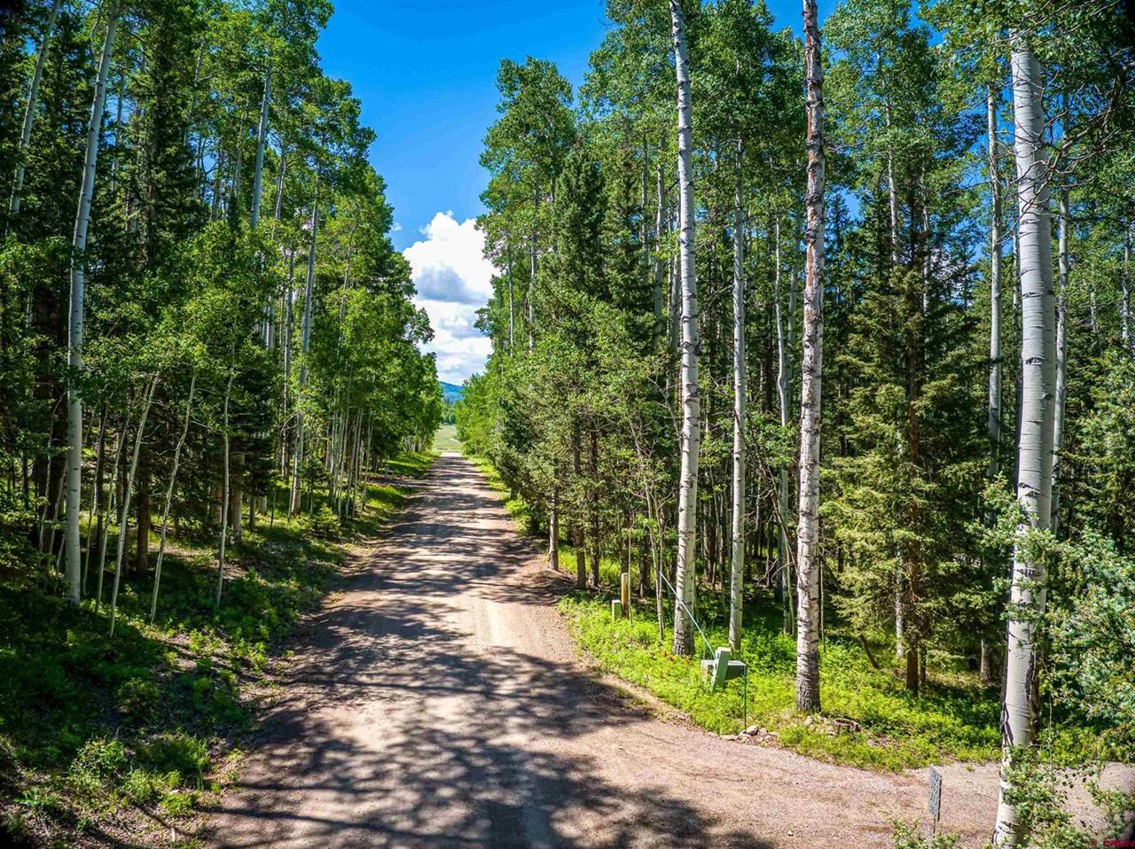 355 Ponderosa Way, Cimarron, CO 81220