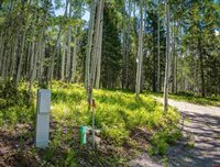355 Ponderosa Way, Cimarron, CO 81220