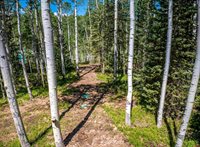 355 Ponderosa Way, Cimarron, CO 81220