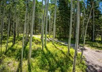 355 Ponderosa Way, Cimarron, CO 81220