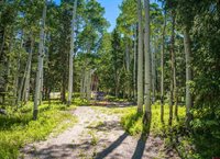 355 Ponderosa Way, Cimarron, CO 81220