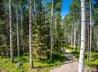 355 Ponderosa Way, Cimarron, CO 81220