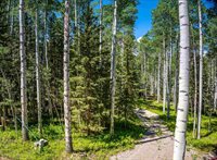 355 Ponderosa Way, Cimarron, CO 81220