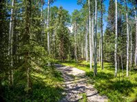 355 Ponderosa Way, Cimarron, CO 81220