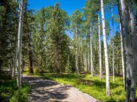 355 Ponderosa Way, Cimarron, CO 81220