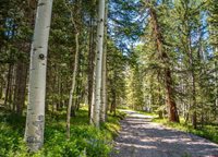 355 Ponderosa Way, Cimarron, CO 81220