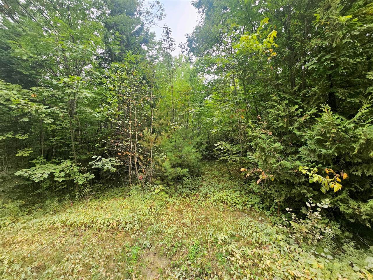 596 Clark Road, Plymouth, ME 04969