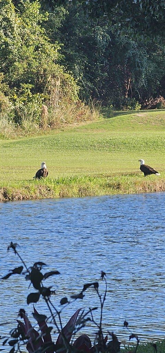 1393 Sunset Beach Drive, Niceville, FL 32578