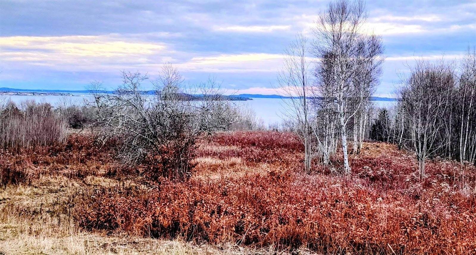Lot 52 US- Route 1, Robbinston, ME 04668