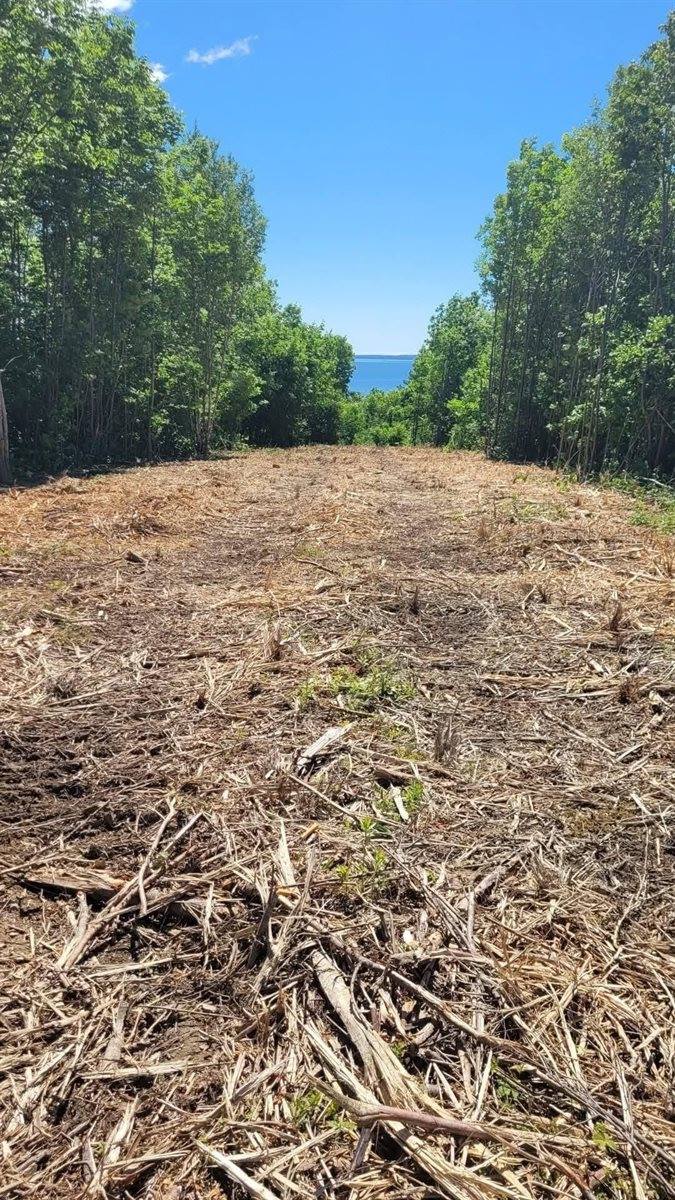 Lot 52 US- Route 1, Robbinston, ME 04668