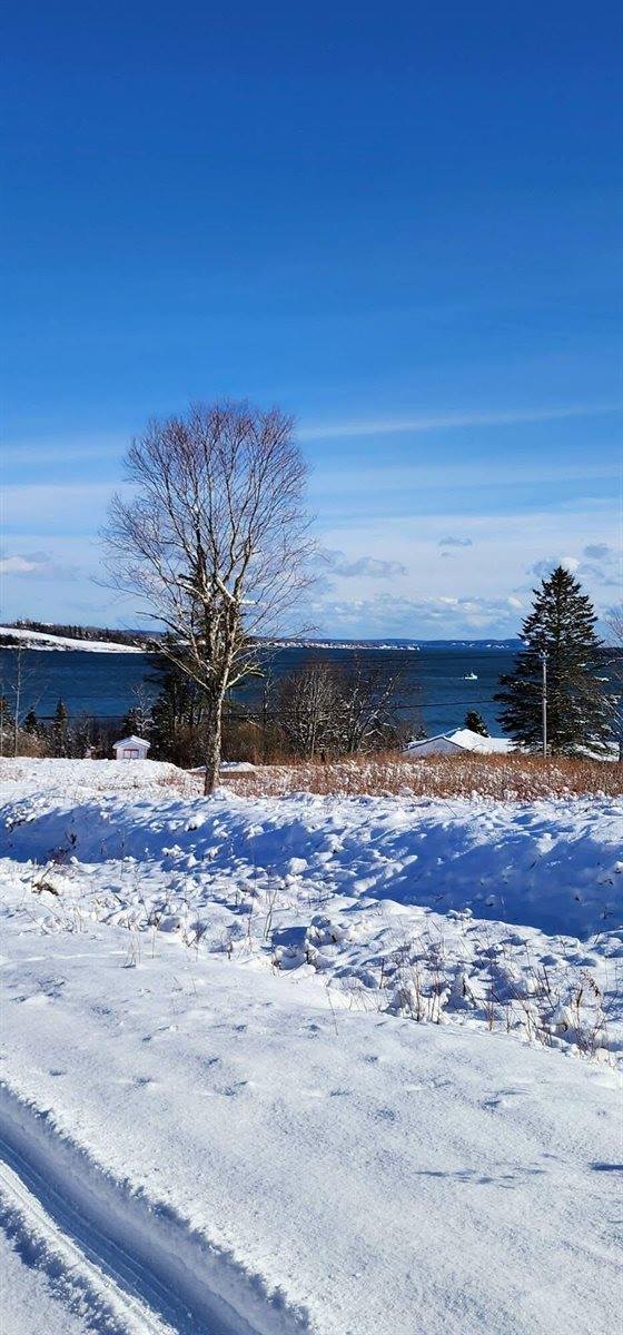 Lot 52 US- Route 1, Robbinston, ME 04668