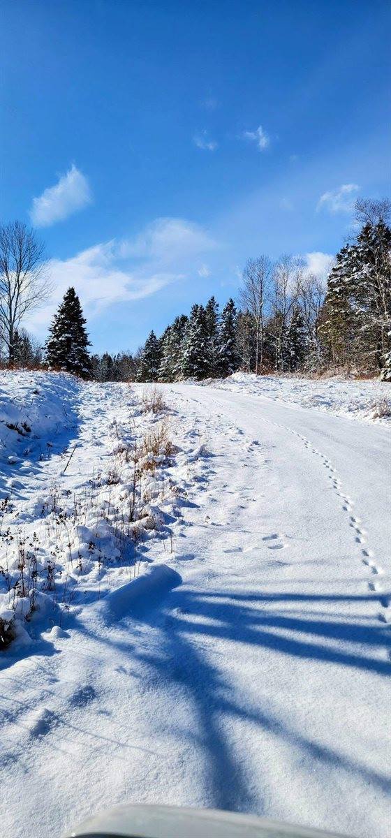 Lot 52 US- Route 1, Robbinston, ME 04668