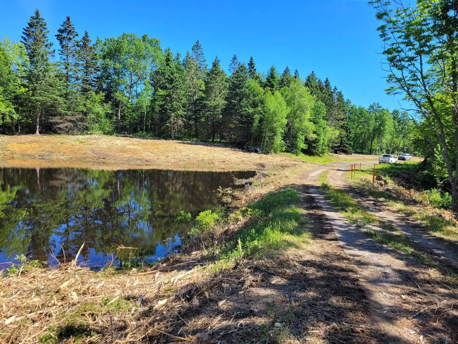 Lot 52 US- Route 1, Robbinston, ME 04668