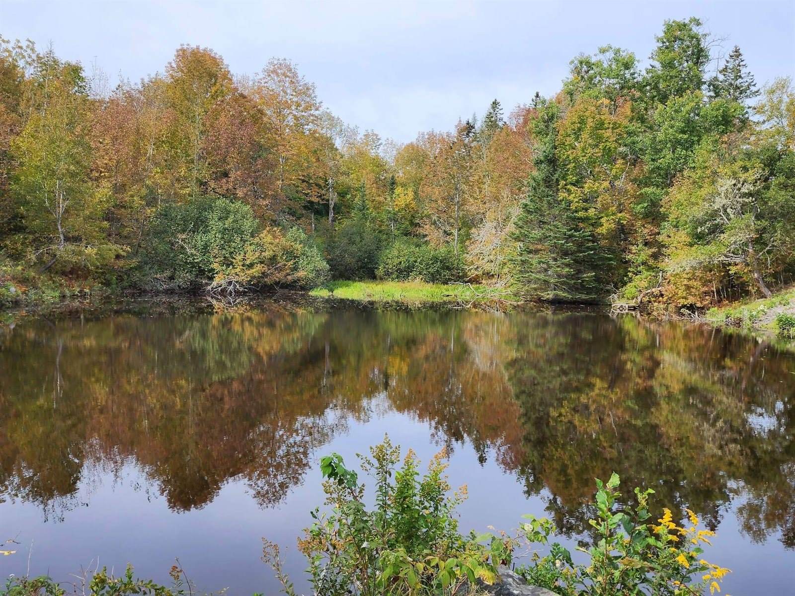 Lot 52 US- Route 1, Robbinston, ME 04668