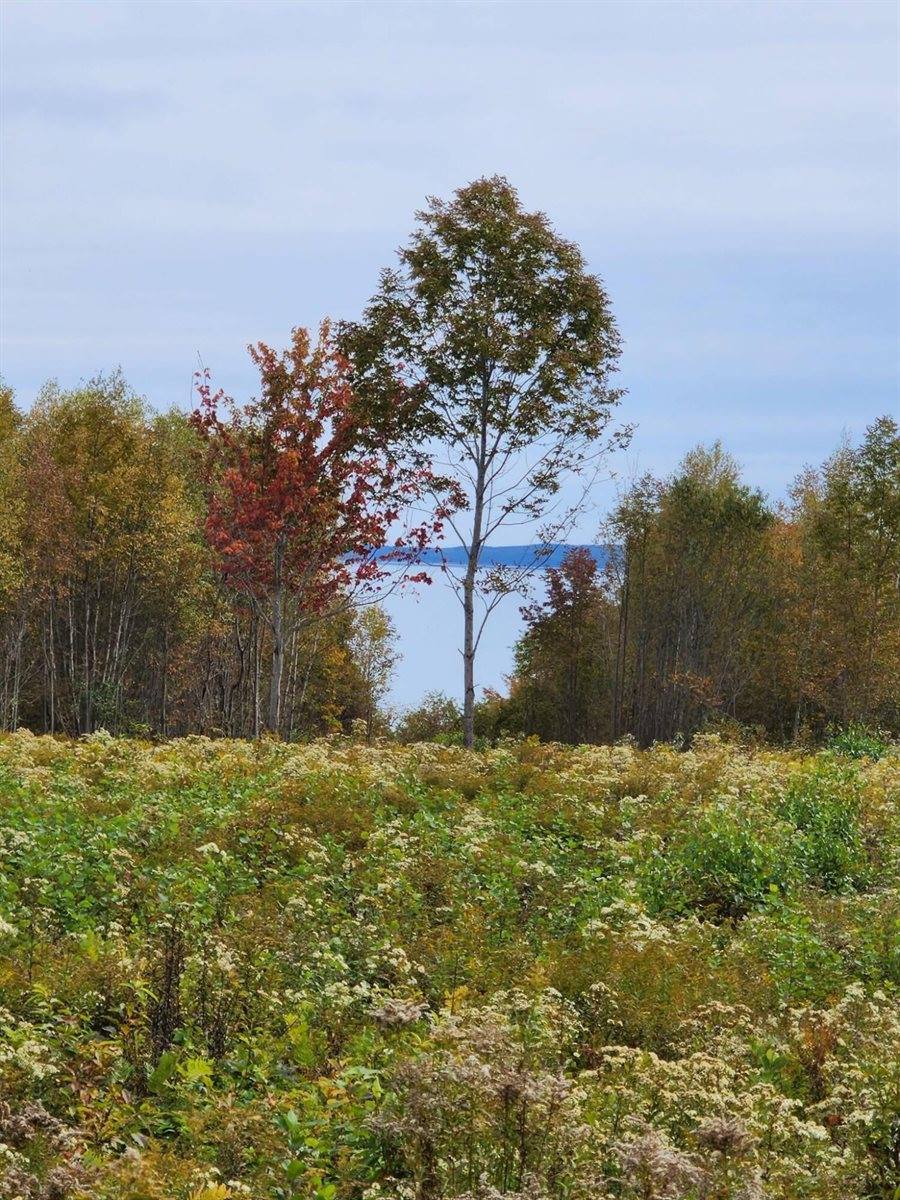 Lot 52 US- Route 1, Robbinston, ME 04668