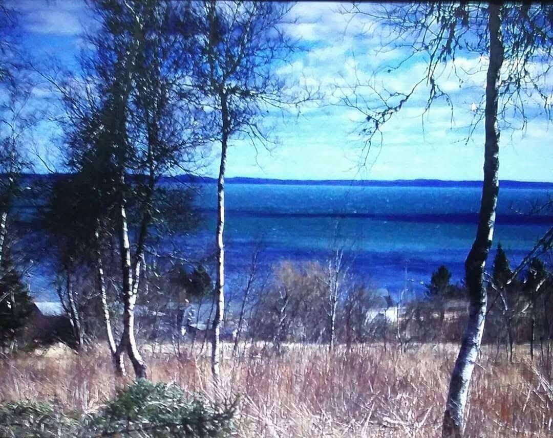 Lot 52 US- Route 1, Robbinston, ME 04668