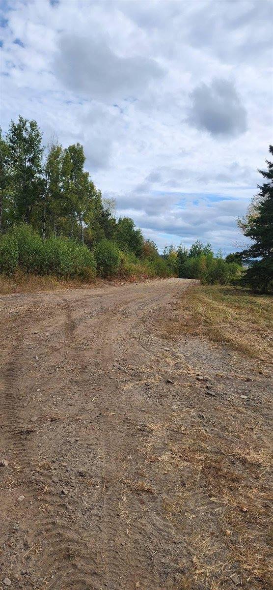 Lot 52 US- Route 1, Robbinston, ME 04668