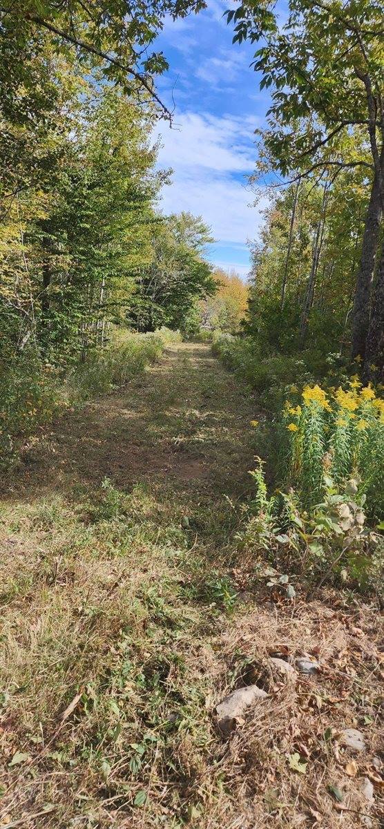 Lot 52 US- Route 1, Robbinston, ME 04668