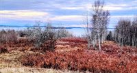 Lot 52 US- Route 1, Robbinston, ME 04668