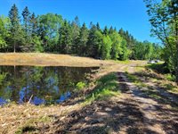 Lot 52 US- Route 1, Robbinston, ME 04668