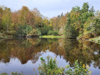 Lot 52 US- Route 1, Robbinston, ME 04668