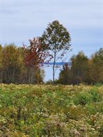 Lot 52 US- Route 1, Robbinston, ME 04668