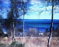 Lot 52 US- Route 1, Robbinston, ME 04668