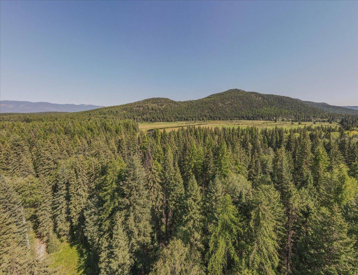 1455 Old Tally Lake Road, Whitefish, MT 59937